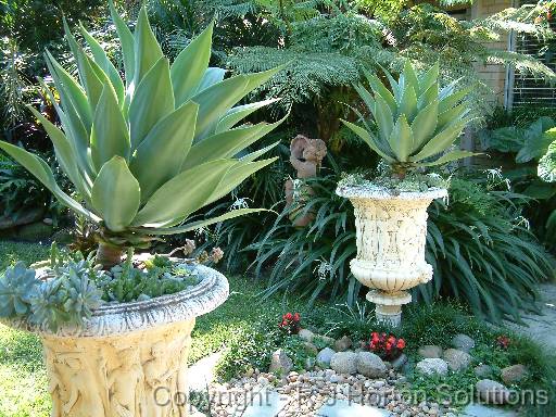 Urns Agave 